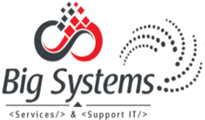 Logo big system